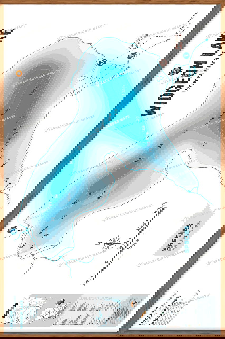 FLMBC114 Widgeon Lake - Wall Map - Backroad Maps