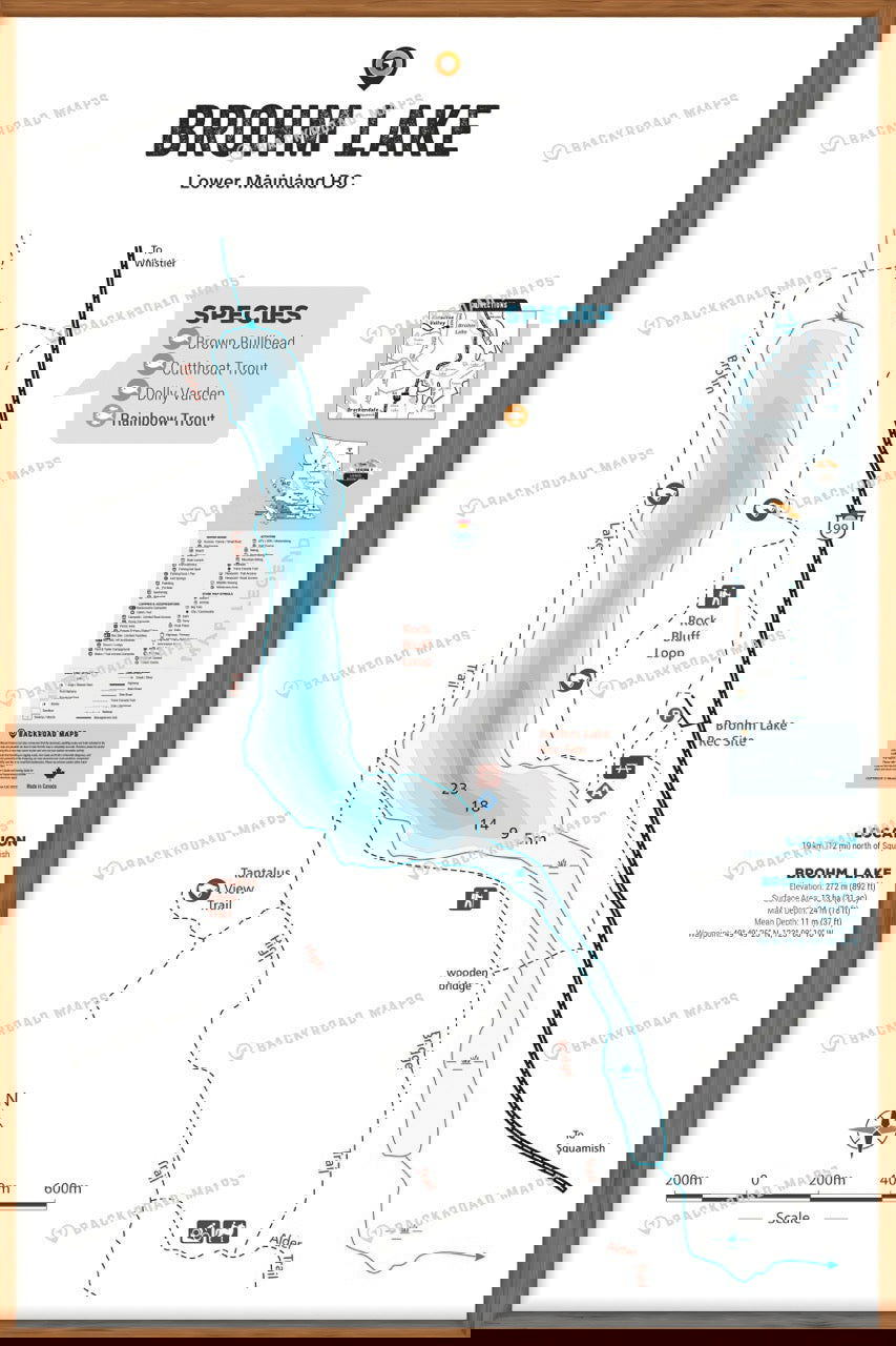 FLMBC29 Brohm lake - Wall Map - Backroad Maps