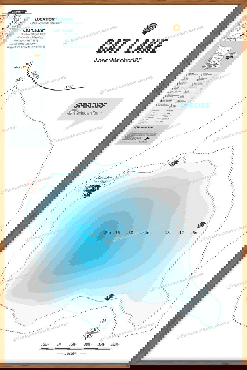 FLMBC34 Cat Lake - Wall Map - Backroad Maps
