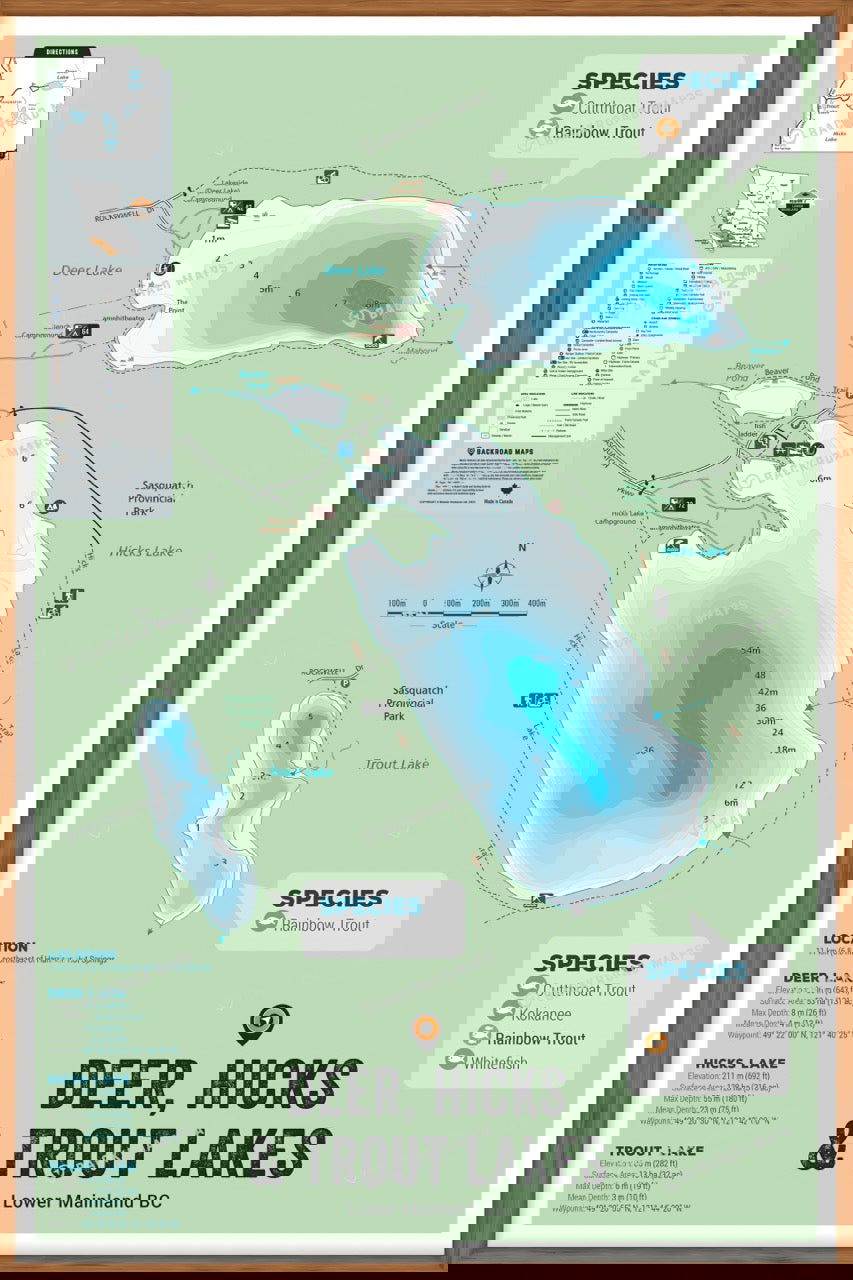 FLMBC45 Deer, Hicks, & Trout Lakes - Wall Map - Backroad Maps