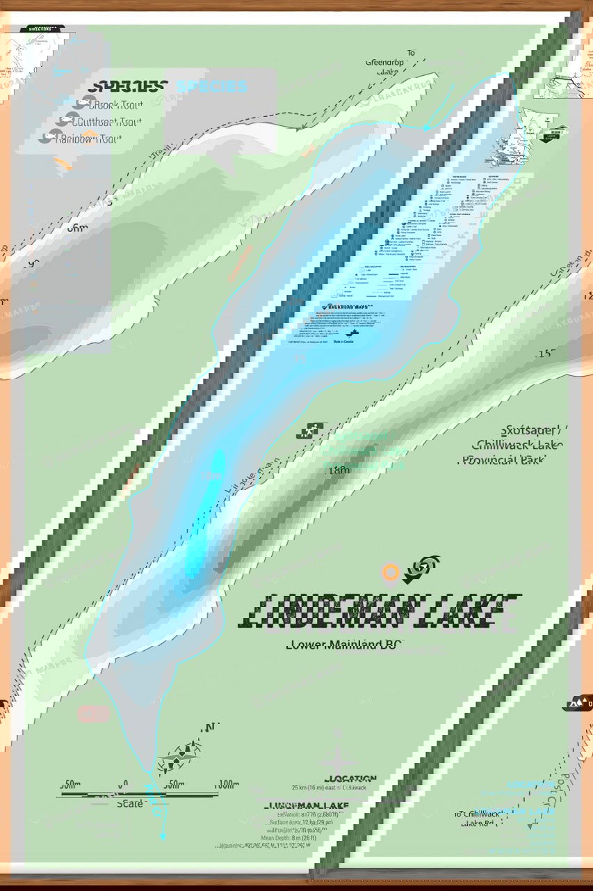 FLMBC74 Lindeman Lake - Wall Map - Backroad Maps