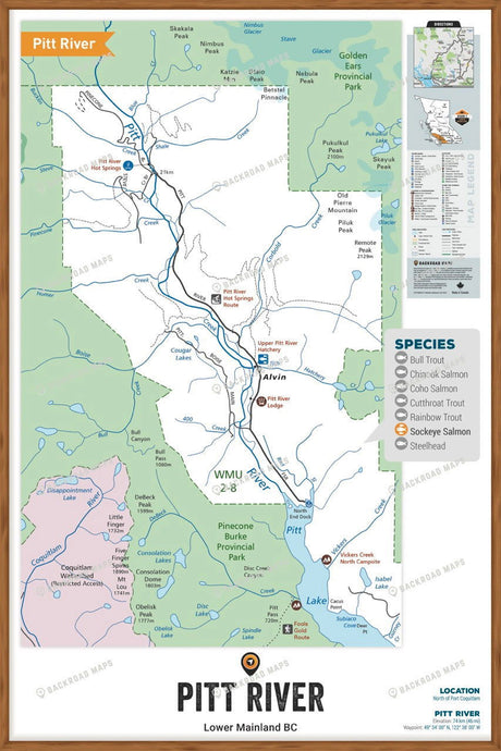 FLMBC88 Pitt River - Wall Map - Backroad Maps