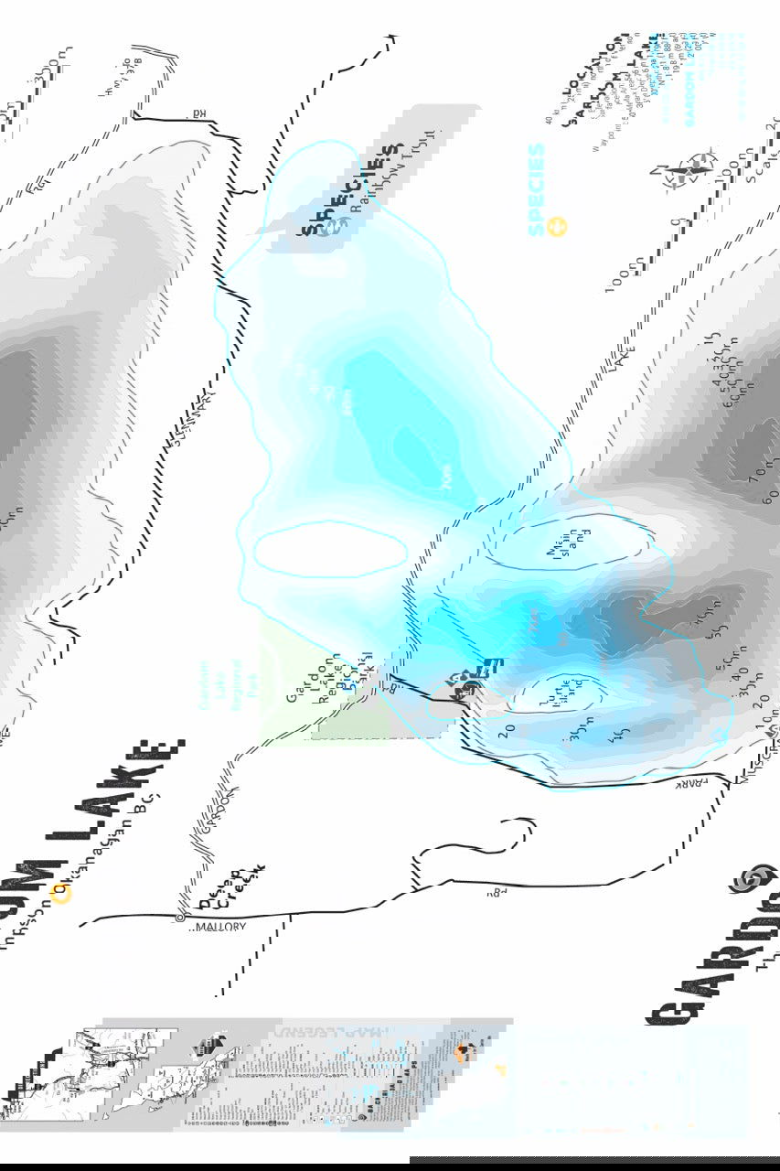 FTOBC66 Gardom Lake - Wall Map - Backroad Maps