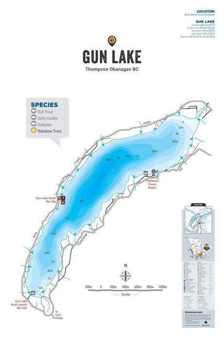 FTOBC72 Gun Lake - Wall Map - Backroad Maps