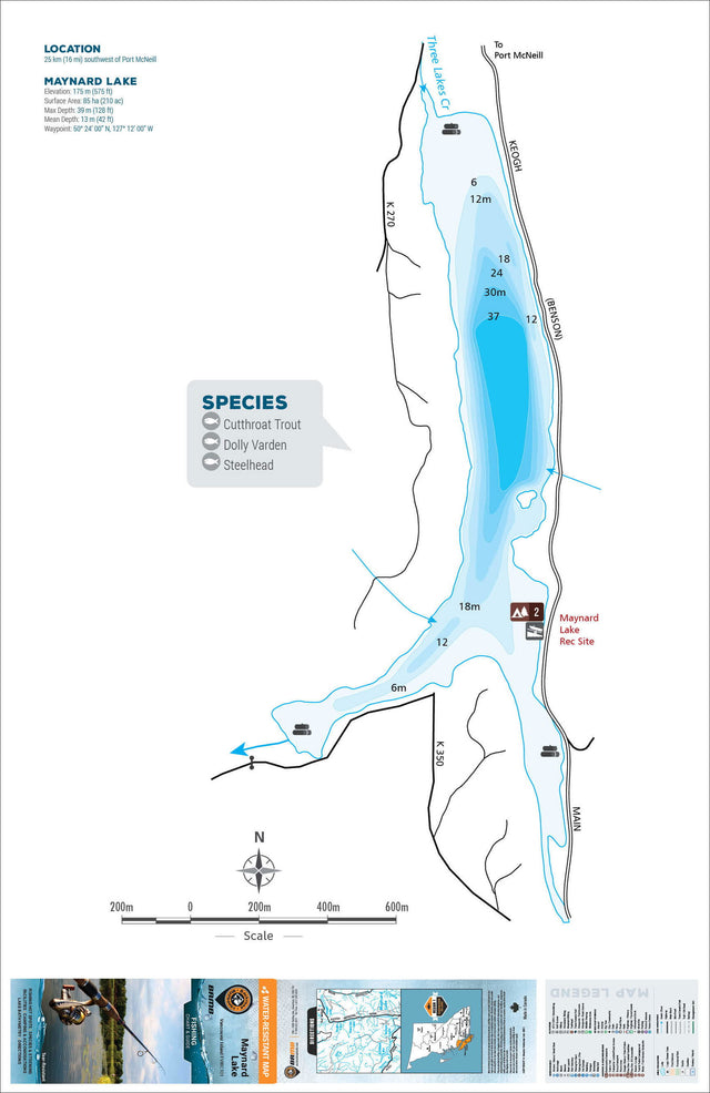 FVIBC101 Maynard Lake - Fishing Chart