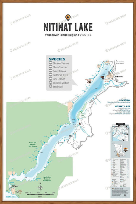 FVIBC115 Nitinat Lake - Wall Map - Backroad Maps