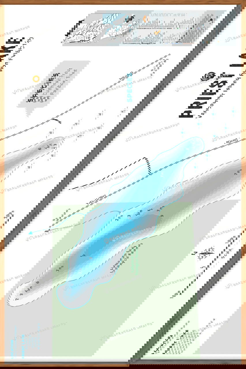 FVIBC120 Priest Lake - Wall Map - Backroad Maps