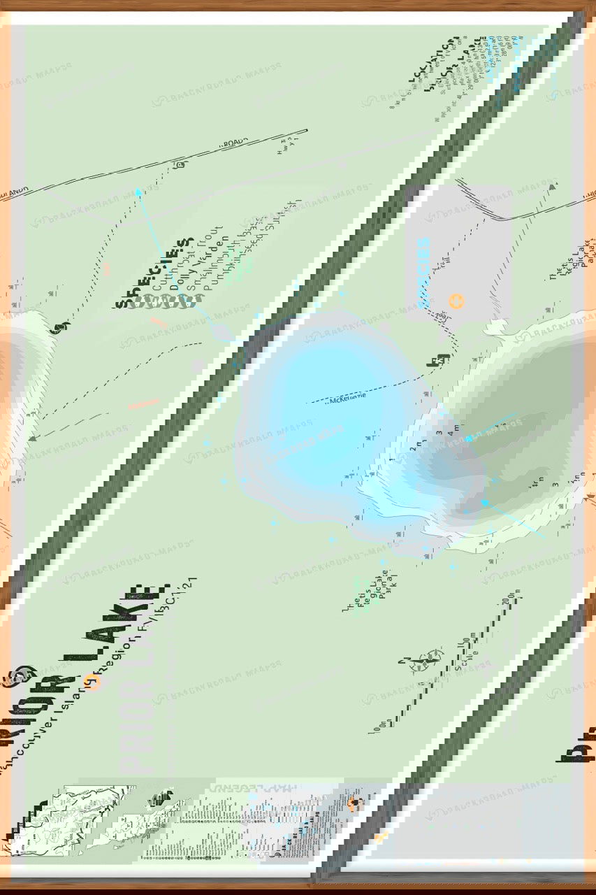 FVIBC121 Prior Lake - Wall Map - Backroad Maps