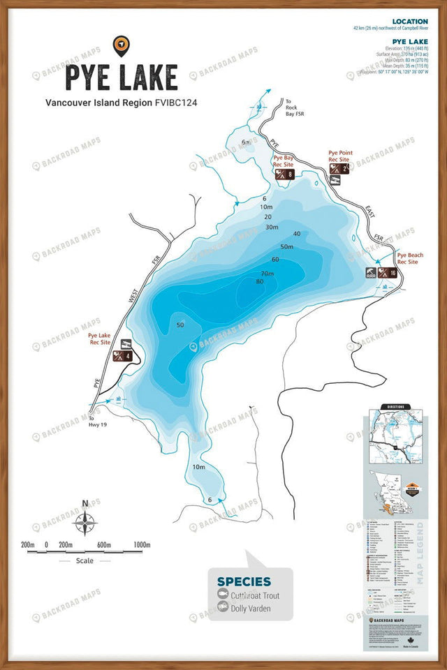 FVIBC124 Pye Lake - Wall Map - Backroad Maps