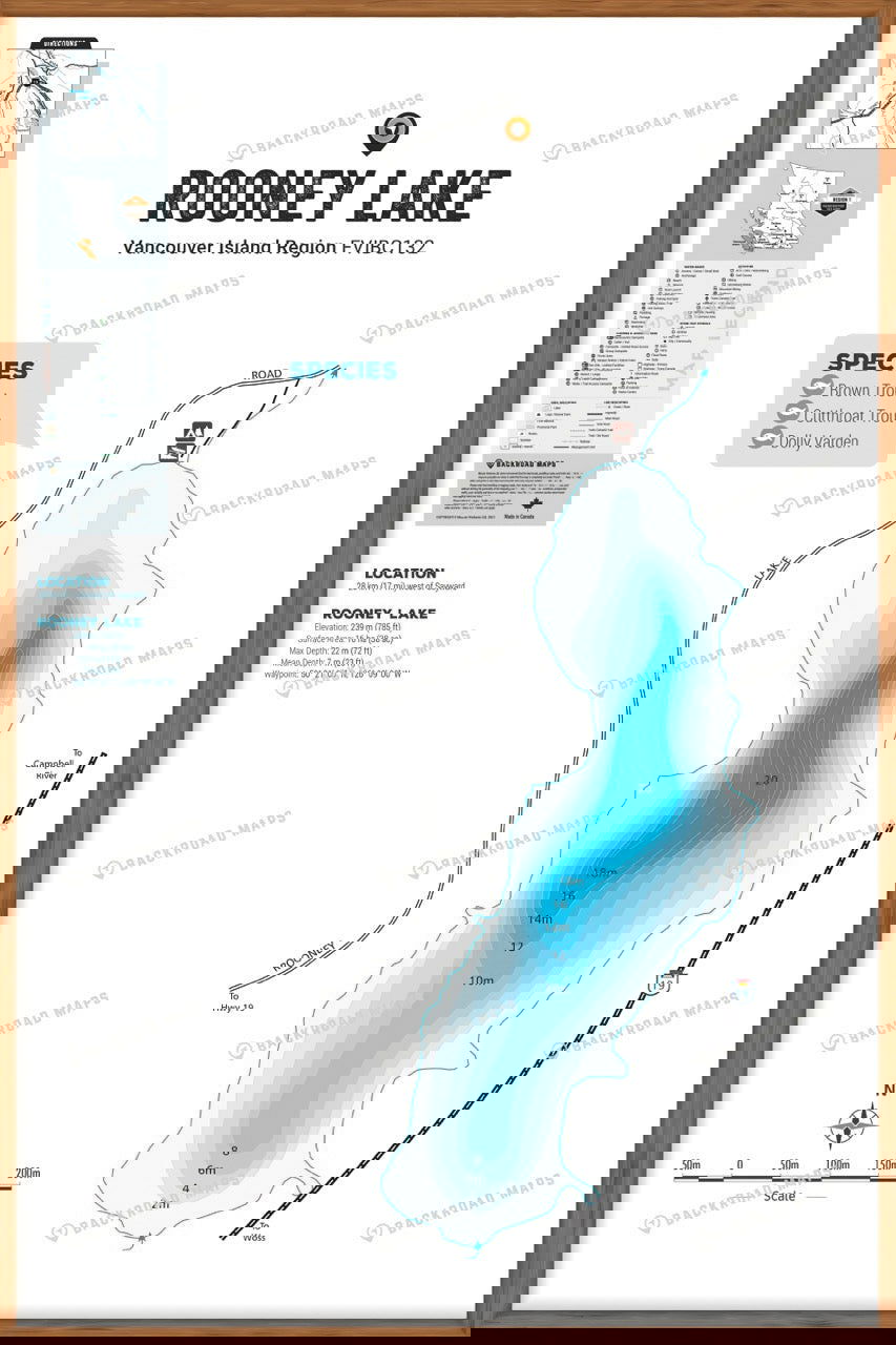 FVIBC132 Rooney Lake - Wall Map - Backroad Maps