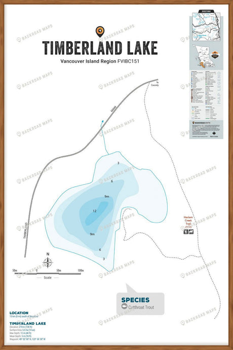 FVIBC151 Timberland Lake - Wall Map - Backroad Maps