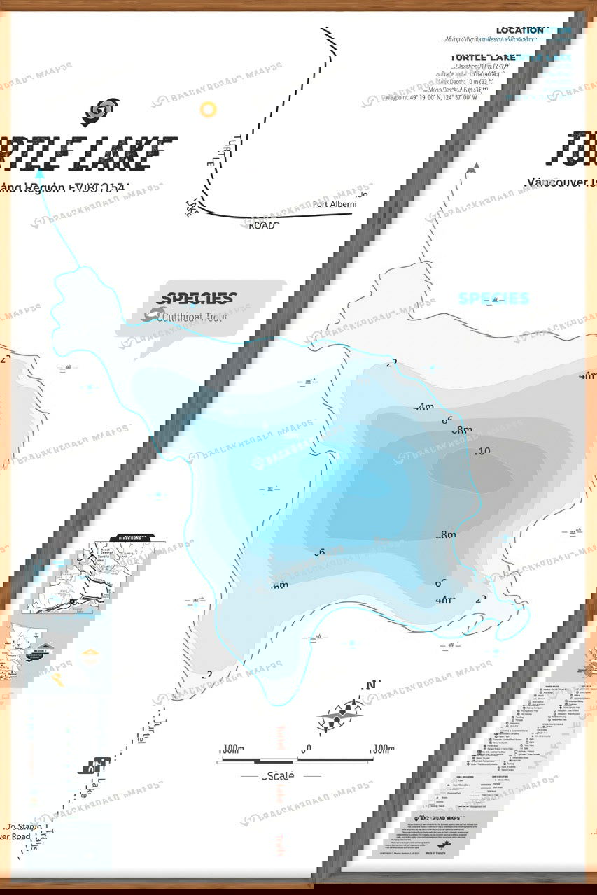 FVIBC154 Turtle Lake - Wall Map - Backroad Maps