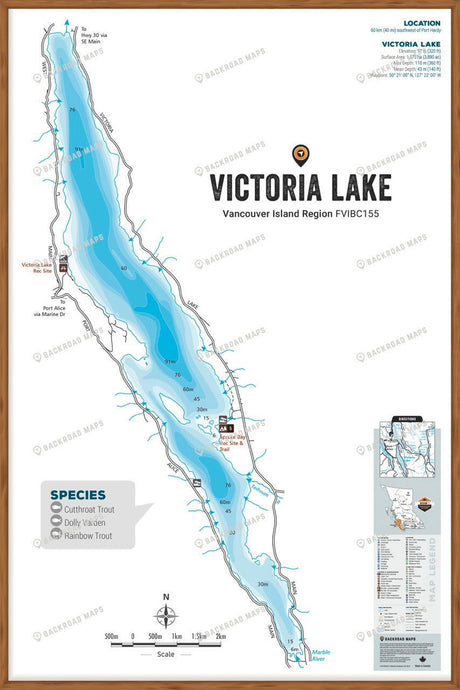 FVIBC155 Victoria Lake - Wall Map - Backroad Maps
