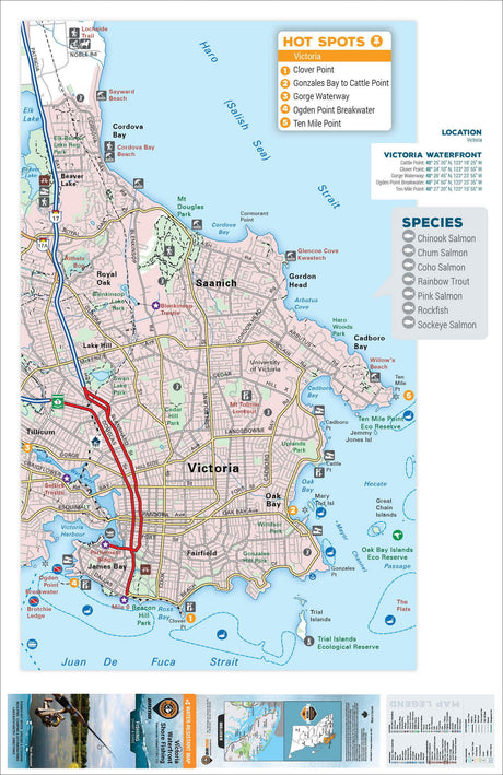 FVIBC156 Victoria Waterfront - Backroad Maps