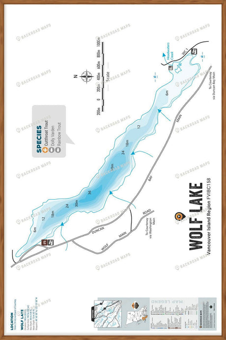 FVIBC158 Wolf Lake - Wall Map - Backroad Maps