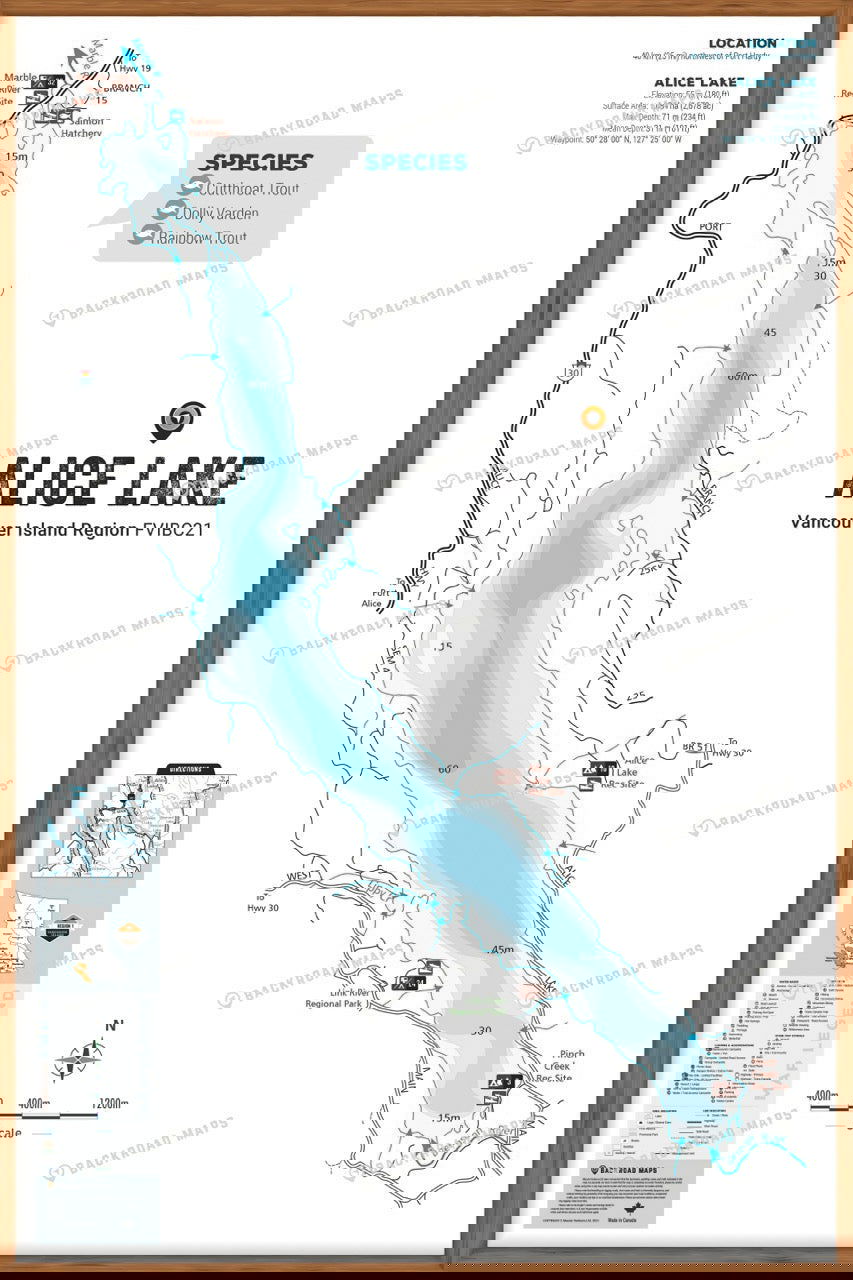 FVIBC21 Alice Lake - Wall Map - Backroad Maps