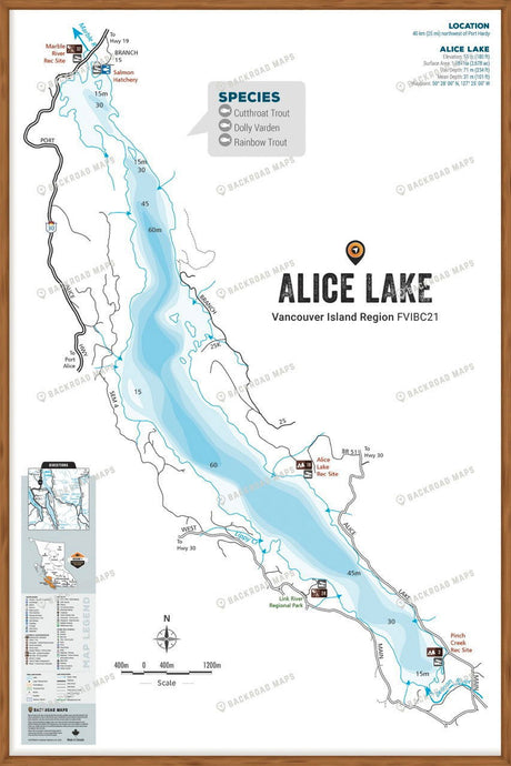 FVIBC21 Alice Lake - Wall Map - Backroad Maps