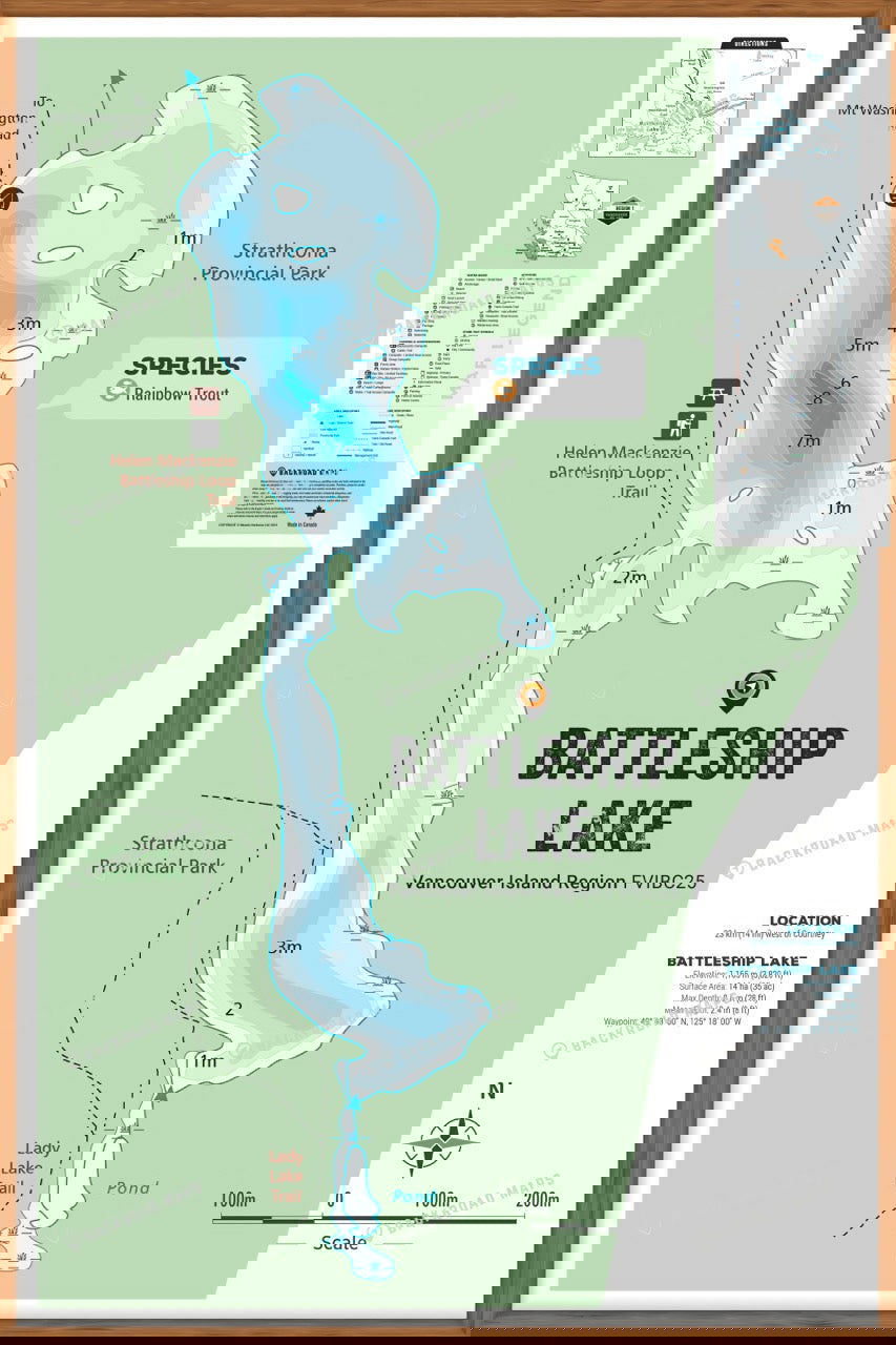 FVIBC25 Battleship Lake - Wall Map - Backroad Maps