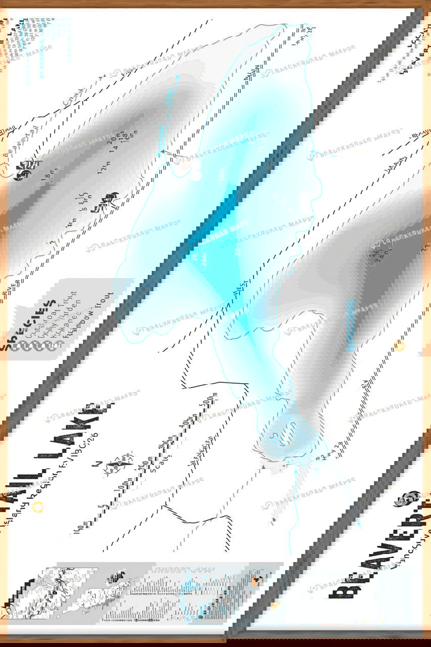 FVIBC26 Beavertail Lake - Wall Map - Backroad Maps