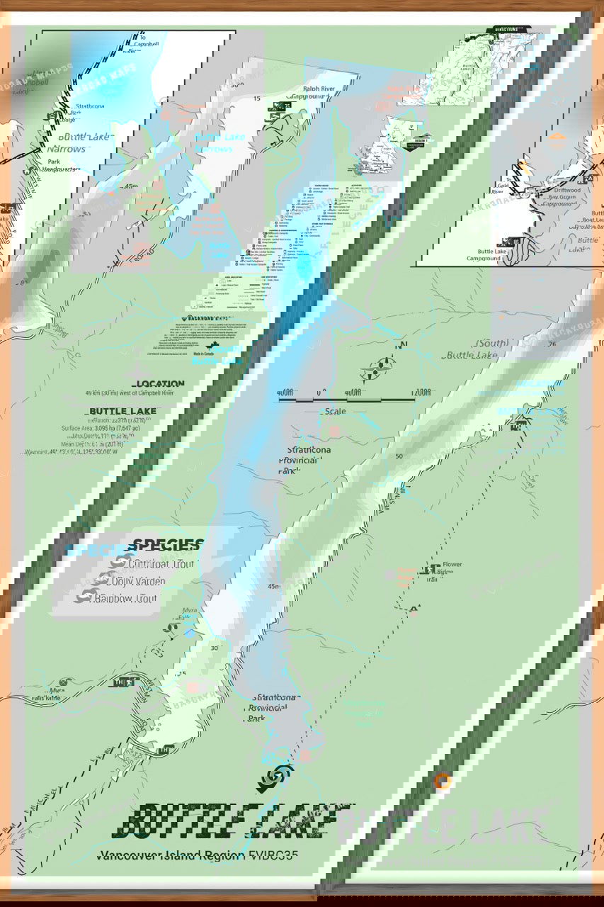 FVIBC35 Buttle Lake - Wall Map - Backroad Maps