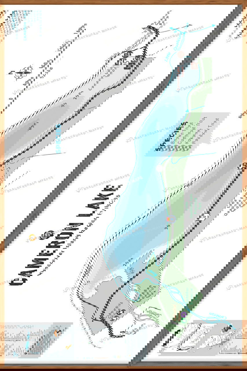 FVIBC36 Cameron Lake - Wall Map - Backroad Maps