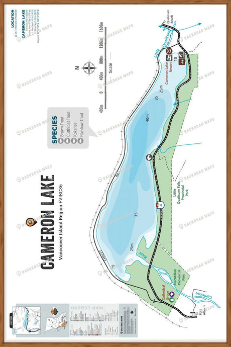 FVIBC36 Cameron Lake - Wall Map - Backroad Maps