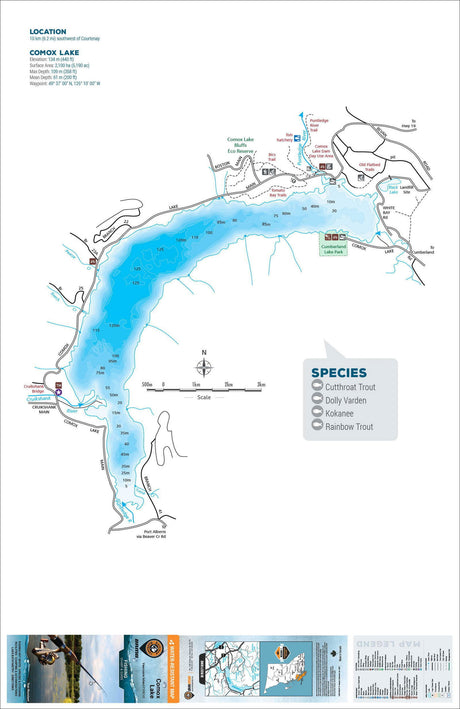 FVIBC43 Comox Lake - Backroad Maps
