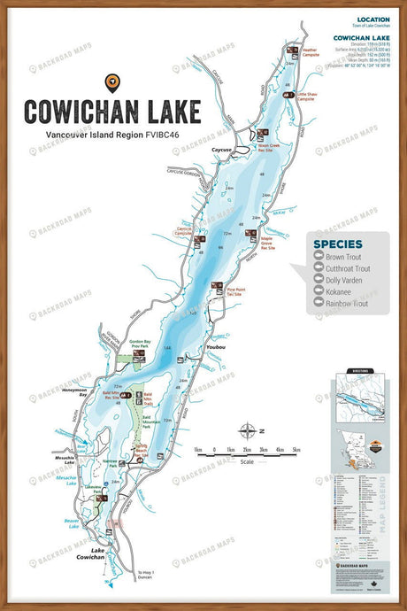 FVIBC46 Cowichan Lake - Wall Map - Backroad Maps