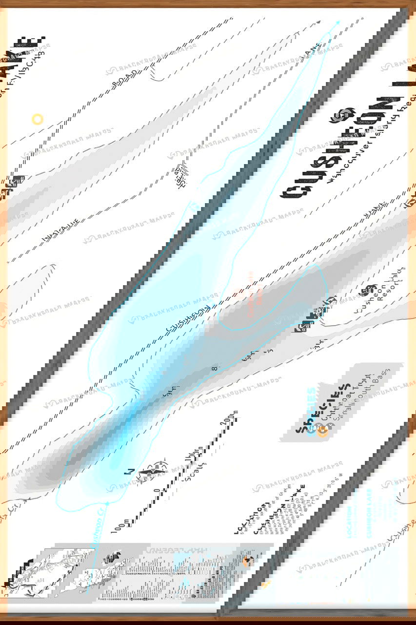 FVIBC48 Cusheon Lake - Wall Map - Backroad Maps