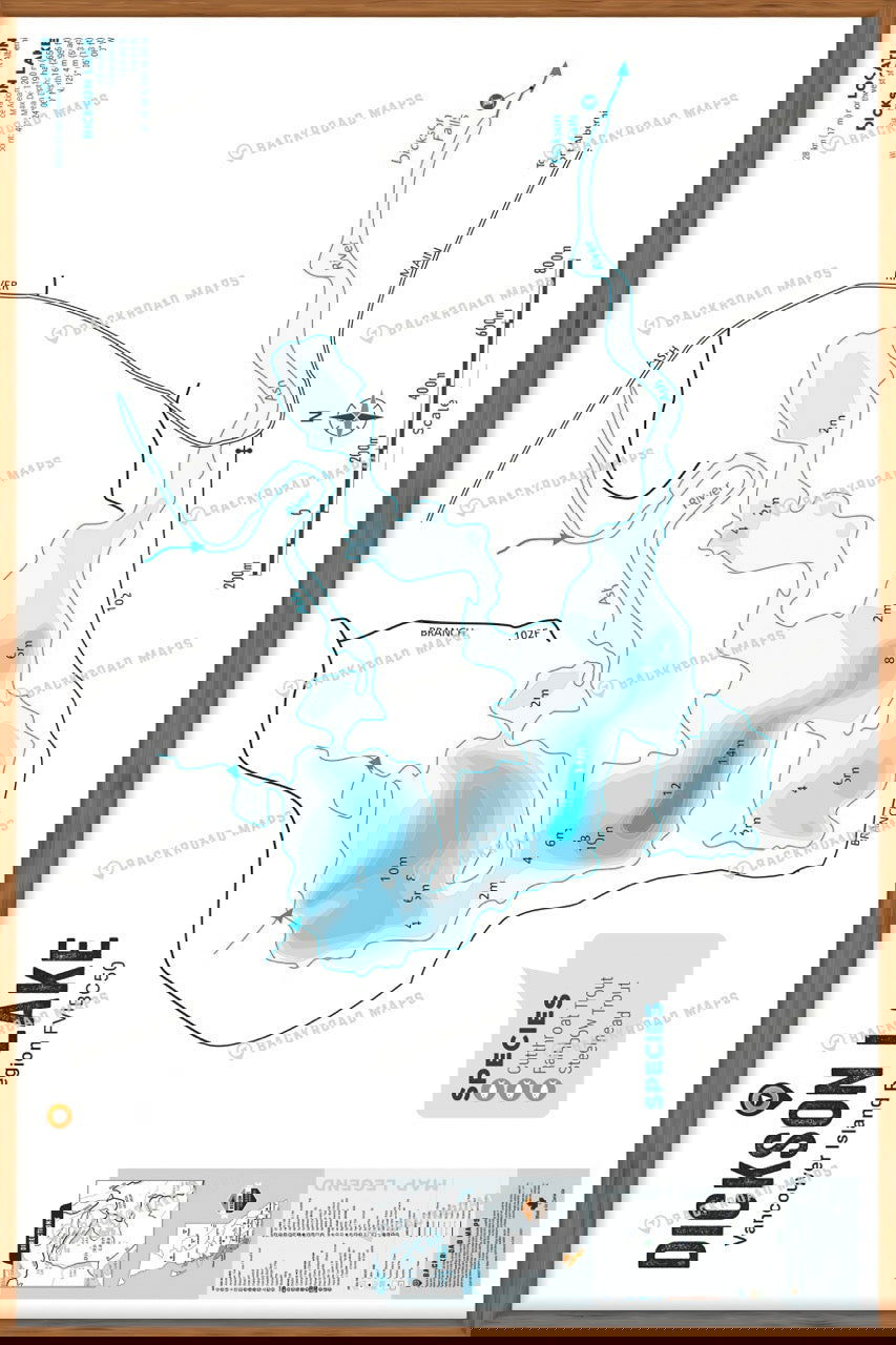 FVIBC50 Dickson Lake - Wall Map - Backroad Maps