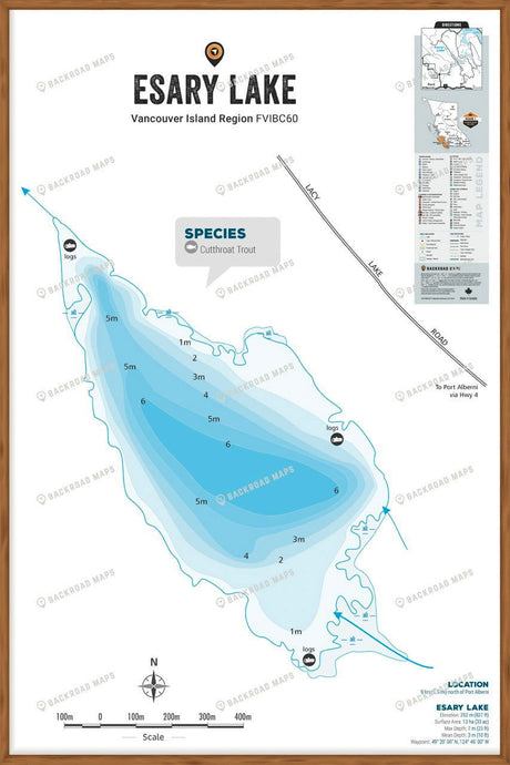 FVIBC60 Esary Lake - Wall Map - Backroad Maps