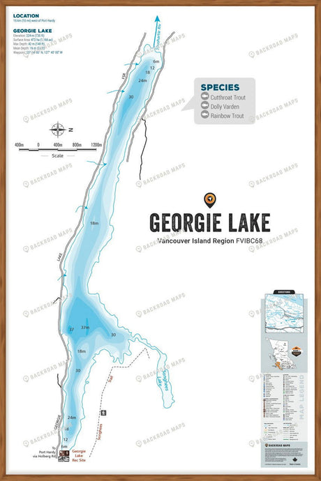 FVIBC68 Georgie Lake - Wall Map - Backroad Maps