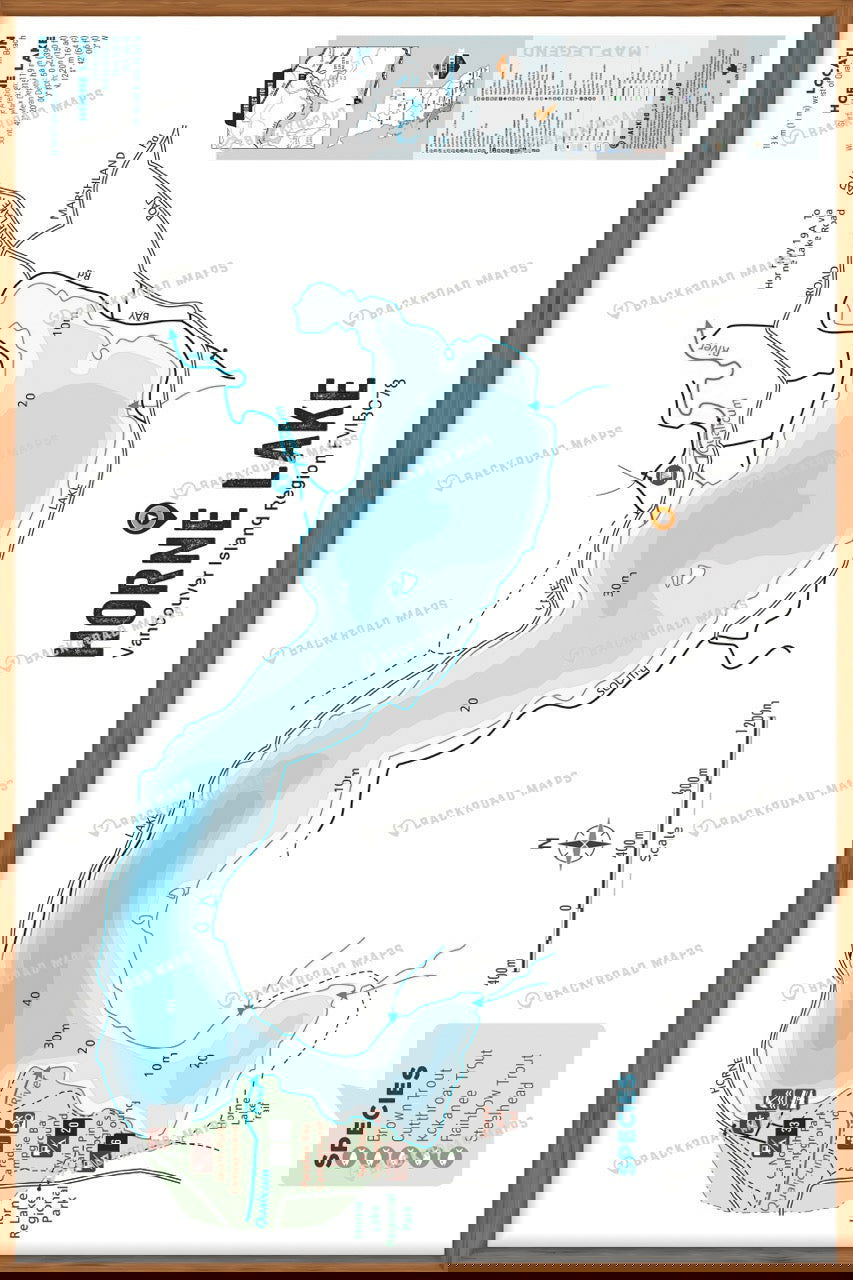 FVIBC78 Horne Lake - Wall Map - Backroad Maps
