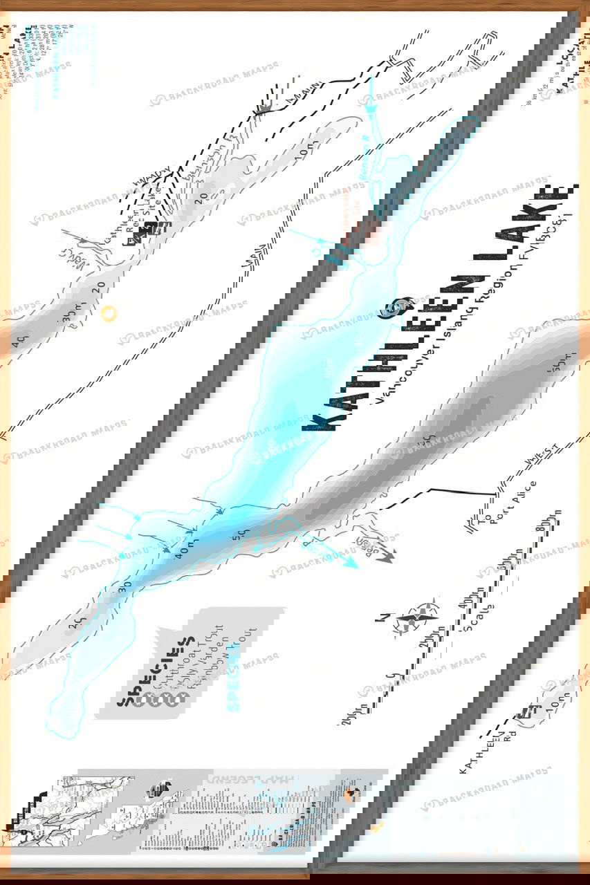 FVIBC81 Kathleen Lake - Wall Map - Backroad Maps