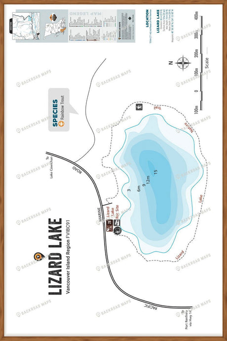 FVIBC91 Lizard Lake - Wall Map - Backroad Maps