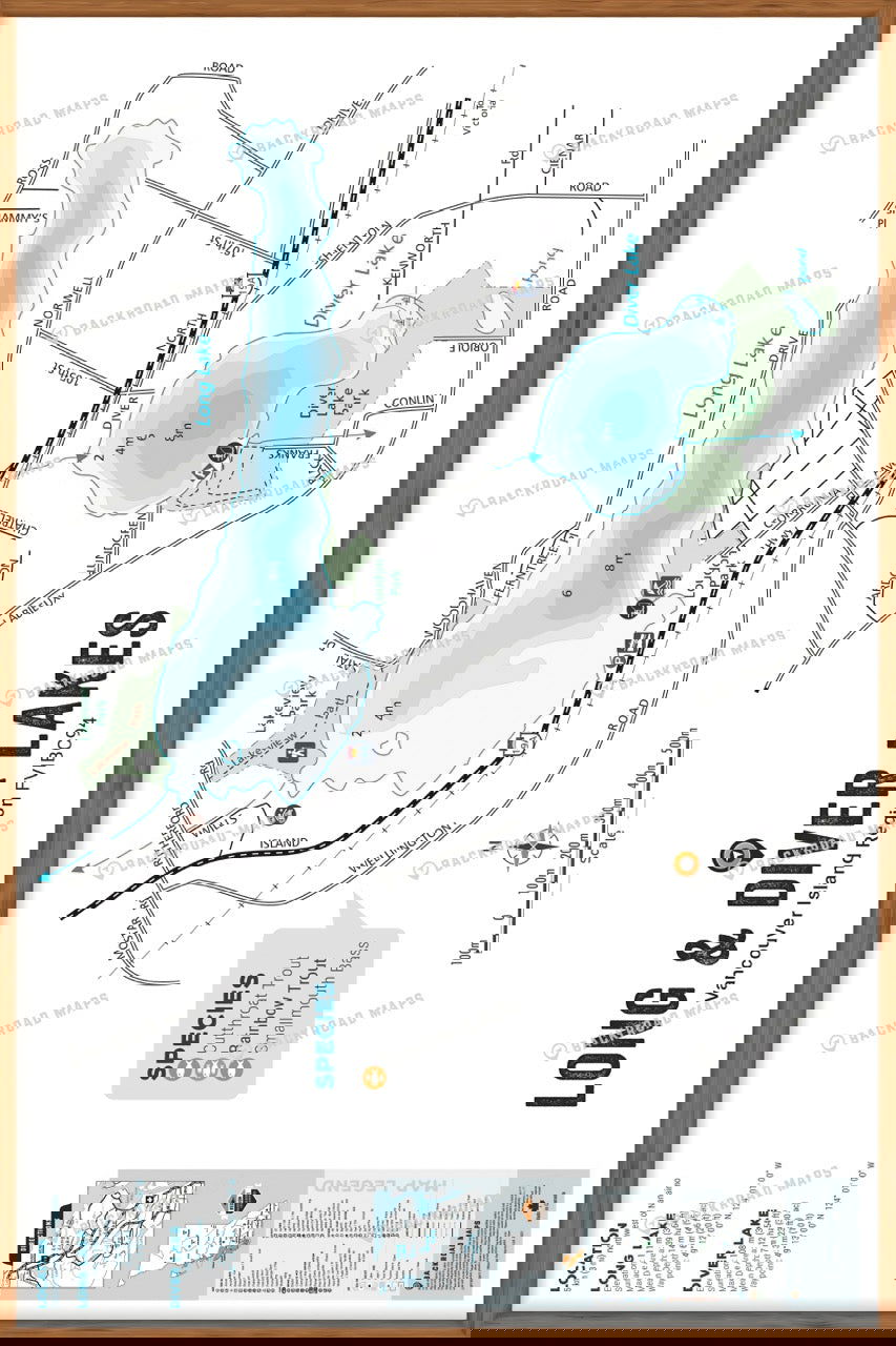 FVIBC94 Long & Diver Lakes - Wall Map - Backroad Maps