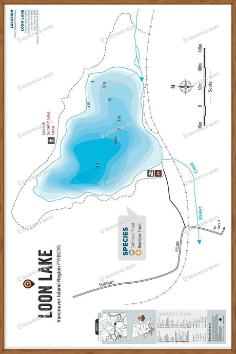 FVIBC95 Loon Lake - Wall Map - Backroad Maps