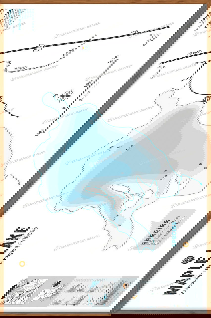 FVIBC98 Maple Lake - Wall Map - Backroad Maps
