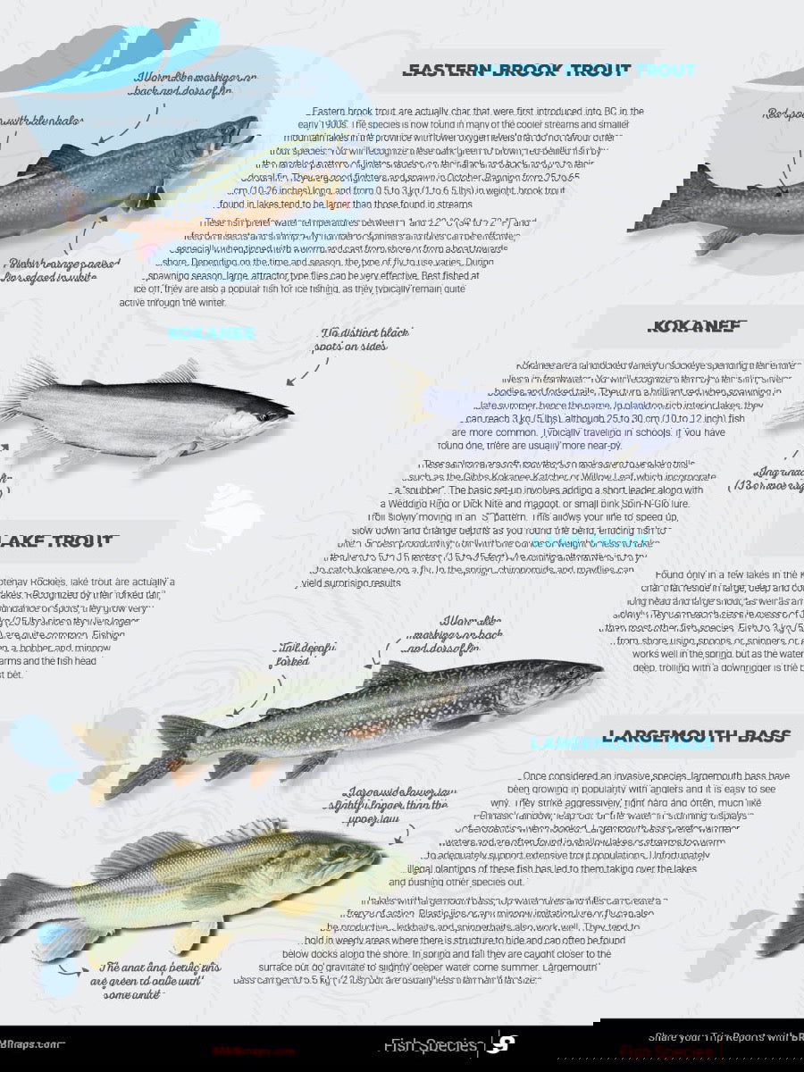 Kootenay Region BC Fishing Mapbook - Backroad Maps