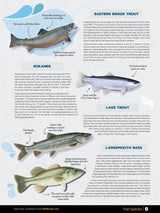 Kootenay Region BC Fishing Mapbook - Backroad Maps