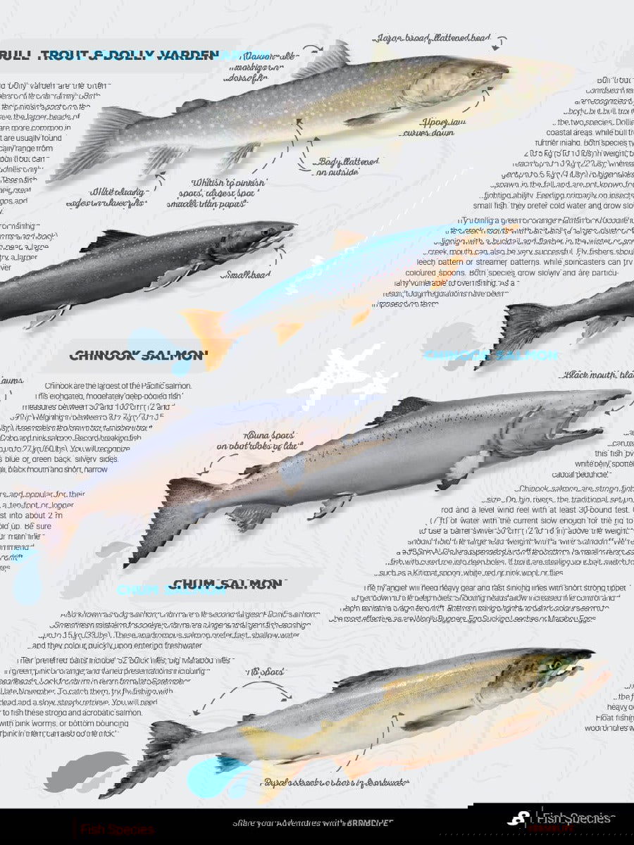Lower Mainland BC Fishing Mapbook - Backroad Maps