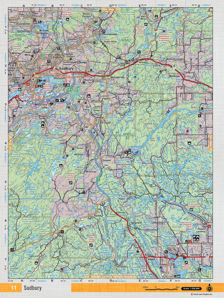 NEON11 Wall Map - Sudbury - Backroad Maps