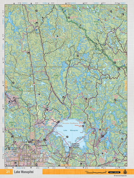 NEON21 Wall Map - Capreol - Backroad Maps