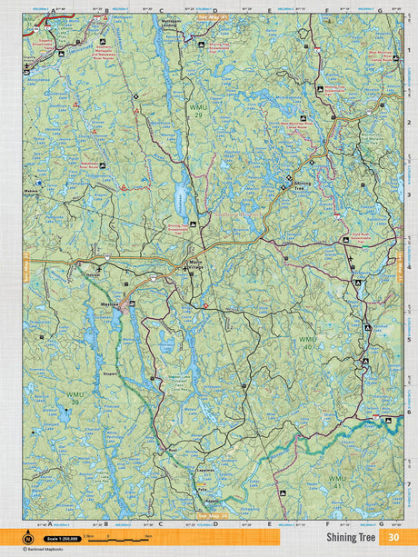 NEON30 Wall Map - Shining Tree - Backroad Maps