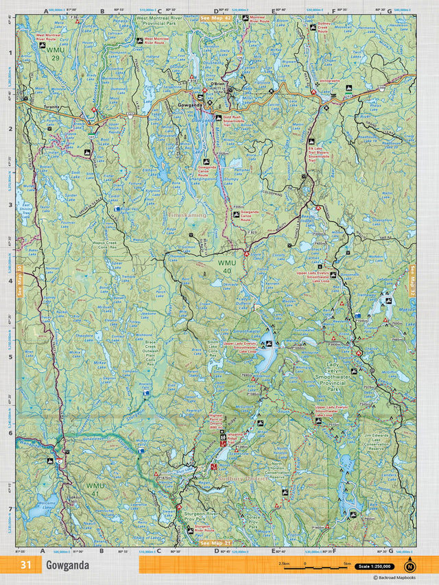 NEON31 TOPO - Gowganda - TOPO Map