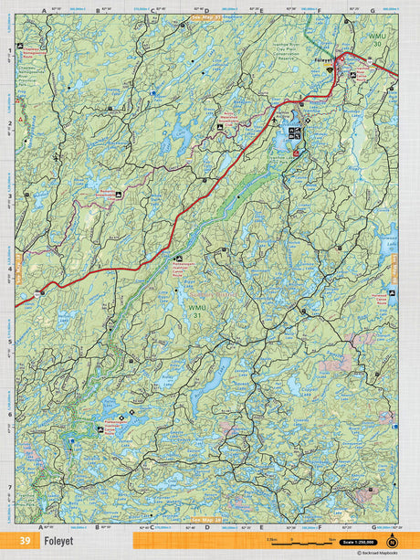 NEON39 Wall Map - Foleyet - Backroad Maps