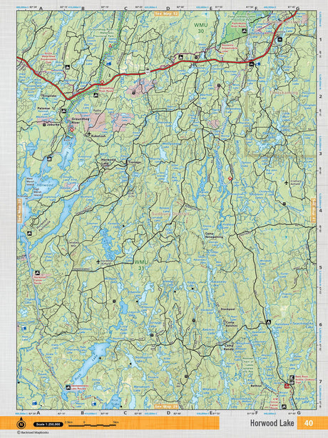 NEON40 Wall Map - Horwood Lake - Backroad Maps