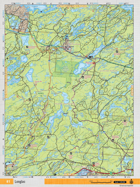 NEON81 TOPO - Longlac - TOPO Map