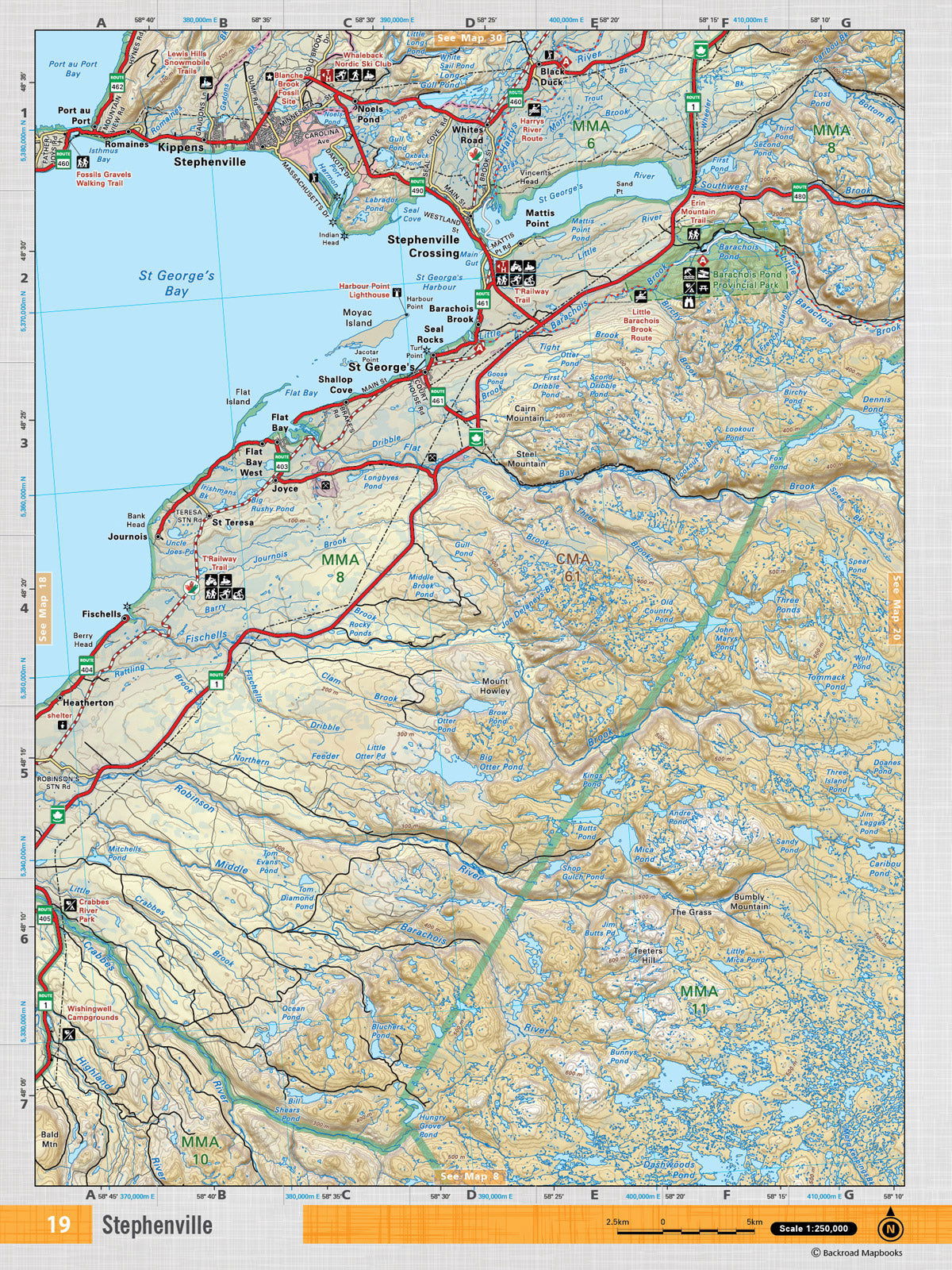 NFLD19 Wall Map - Stephenville - 