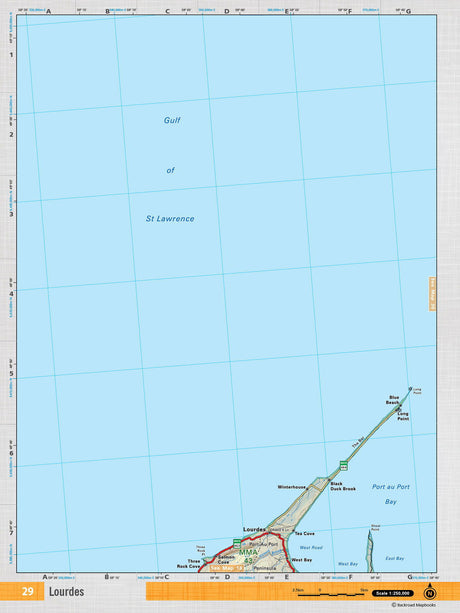 NFLD29 Wall Map - Lourdes - 